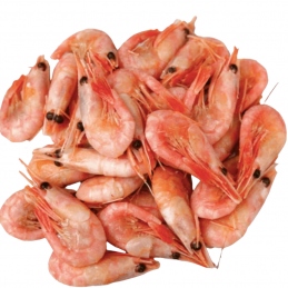 COLD WATER PRAWNS (SHELL...