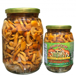 "ZAKUSON" OPYATA MUSHROOMS 1L
