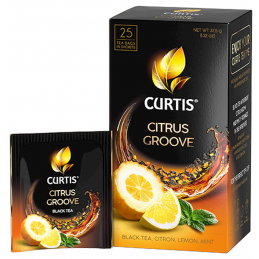 CURTIS CITRUS GROOVE TEA 25PC
