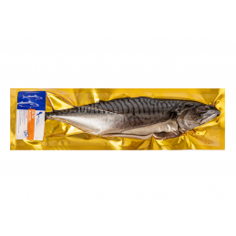 "NORTH FISH" SALTED...