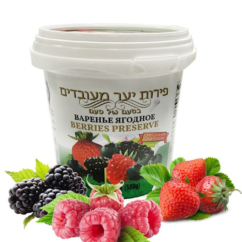 ISRAEL PRESERVE FOREST FRUIT 500GR